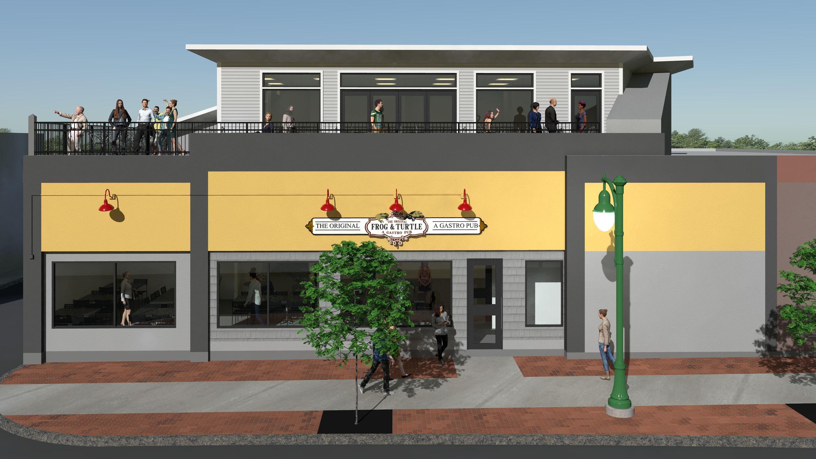 Frog & Turtle Elevations