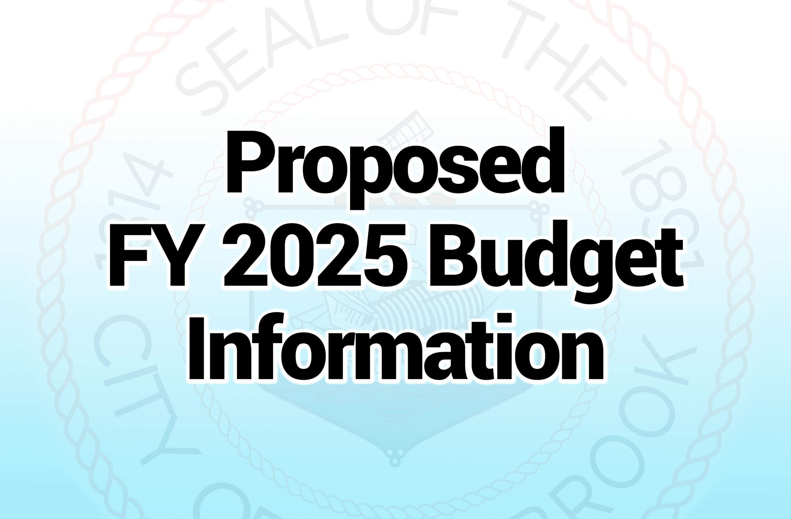 2024 Budget Information