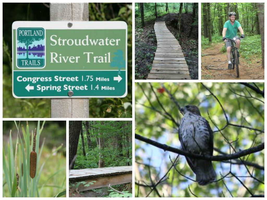 Stroudwater Trail Collage