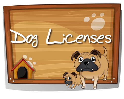 Dog_Licenses